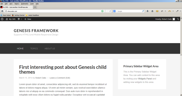 Website with Genesis Sample Child Theme just installed