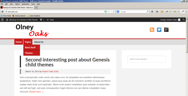Website with developed genesis child theme