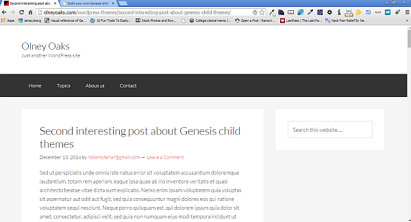 Website with Genesis Framework just installed