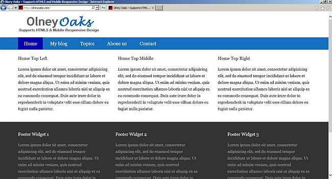 Website with a Genesis framework static homepage